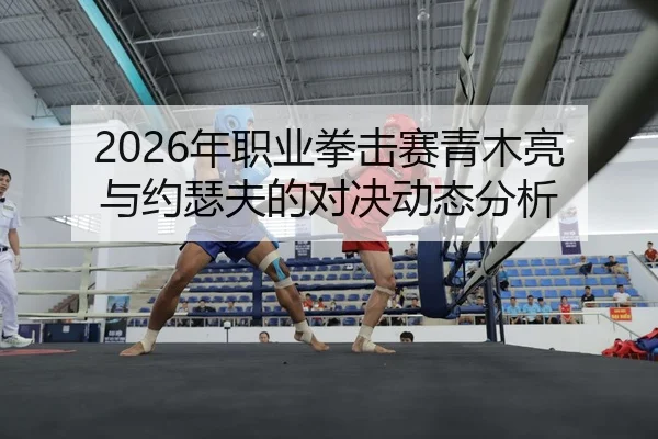 2026年职业拳击赛青木亮与约瑟夫的对决动态分析