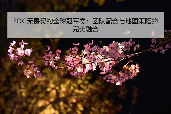 EDG无畏契约全球冠军赛：团队配合与地图策略的完美融合