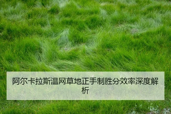 阿尔卡拉斯温网草地正手制胜分效率深度解析